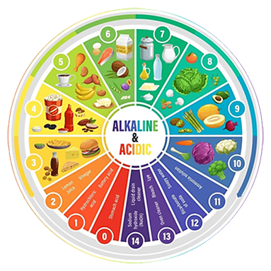 Alcalinizzazione, processi fisiologici, i benefici Image